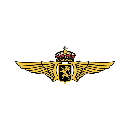 Belgian Air Component Logo