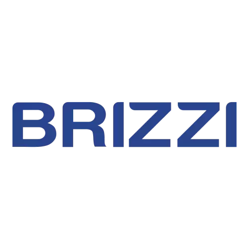 Free BRI BRIZZI Logo