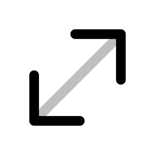 Enlarge Icon SVG