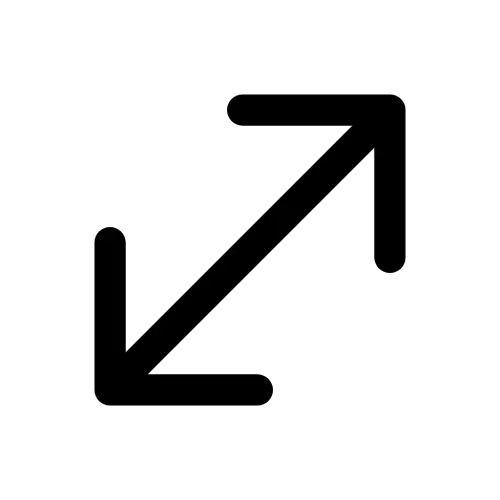 Enlarge Icon SVG