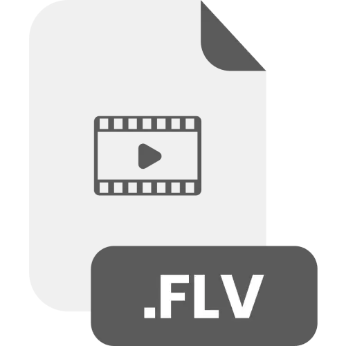 FLV File Format Vector