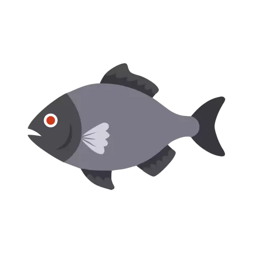 Free Piranha Vector