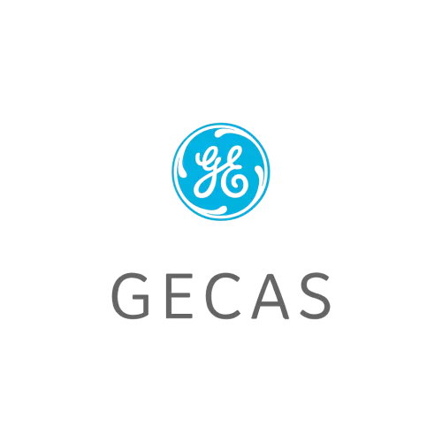 GE Capital Aviation Services Logo