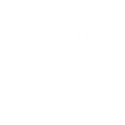 IOS 26 Google Icon