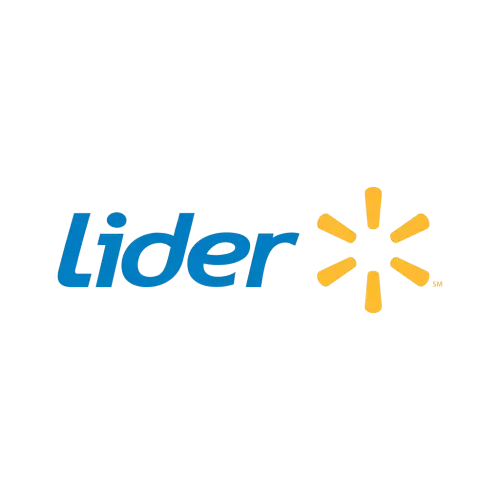 Lider Logo