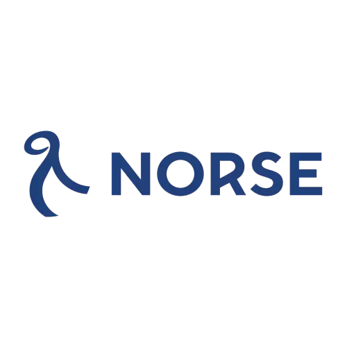 Norse Atlantic Airways Logo