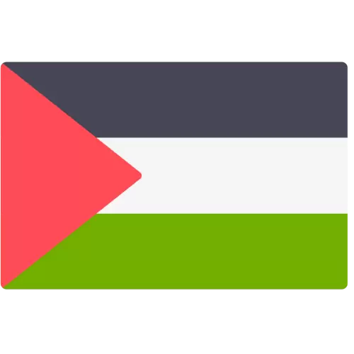 Palestine Country Flag