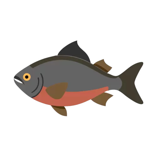 Piranha Free Vector