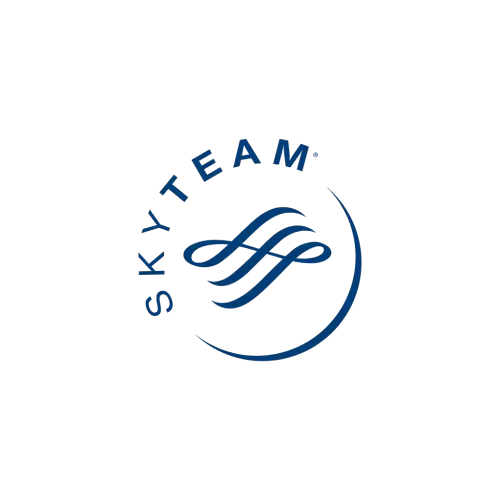 SkyTeam Logo