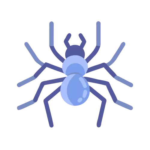 Spider Vector