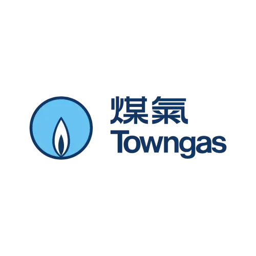 The Hong Kong Logo