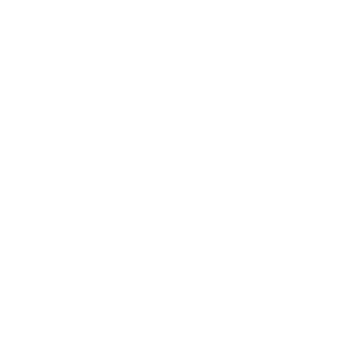 White Stability AI Logo