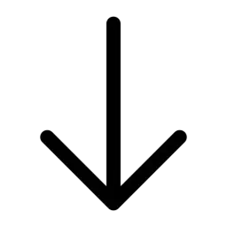 Arrow Down Icon