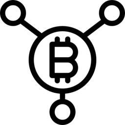 Bitcoin Currency Icon