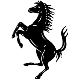 Black White Ferrari Icon