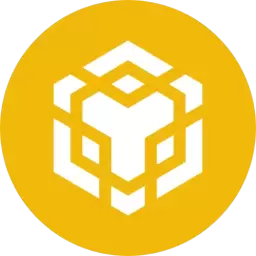 BNB Coin Logo