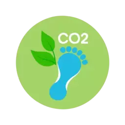 Carbon Footprint Icon