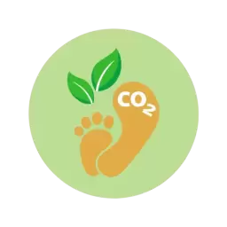 Carbon Footprint Vector