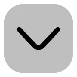Chevron Down Icon