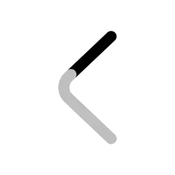 Chevron Left Icon