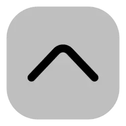 Chevron Top Icon