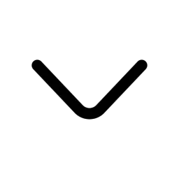 Chevron Up Icon