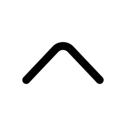 Chevron Up Icon