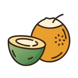 Coconut Icon