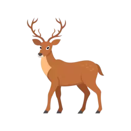 Deer Vector