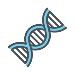 DNA Vector