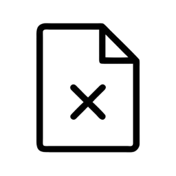 Error Document Icon