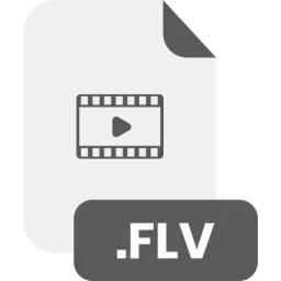 FLV File Format Vector