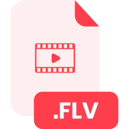 FLV File Format Vector