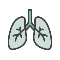 Free Lungs Vector