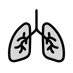 Free SVG Lungs Icon