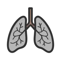 Free SVG Lungs Vector