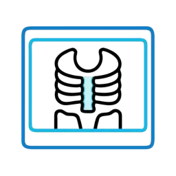 Free X Ray Vector