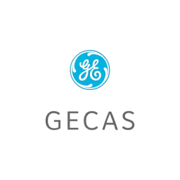 GE Capital Aviation Services Logo