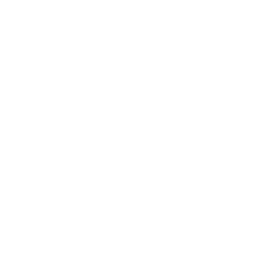 IOS 26 Google Icon