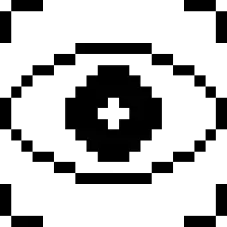Iris Scan Icon