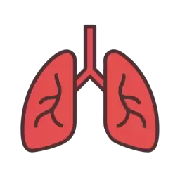Lungs Free Icon