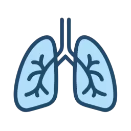Lungs Icon
