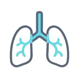 Lungs Icon