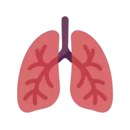 Lungs Symbol