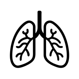 Lungs Vector