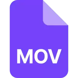 MOV File Format Vector