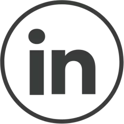 Outline Linkedin Logo