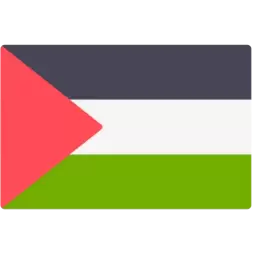 Palestine Country Flag