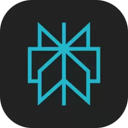 Perplexity App Logo