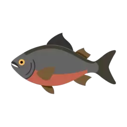 Piranha Free Vector